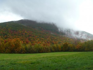 Mount3