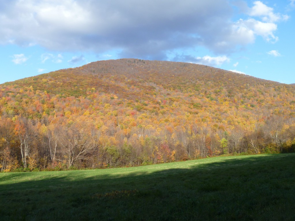 Mount33