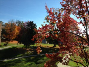 photo-2